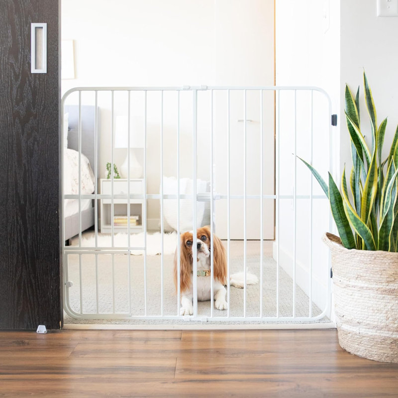 Pet fashion gate with small pet door